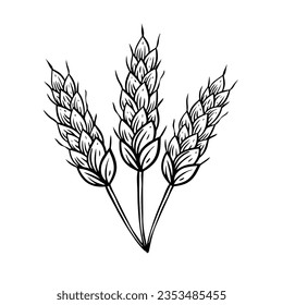 Spica set hand drawn black color outline style. Vector art doodle sketch. Isolated on white background.