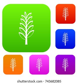 Spica set icon color in flat style isolated on white. Collection sings vector illustration