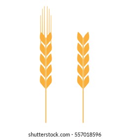 spica of wheat, barley, corn, an ingredient for beer, bread. vector image monochrome