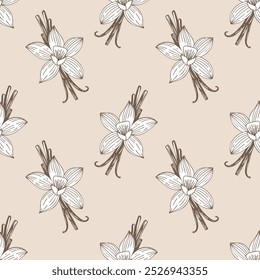 Spice aromatic pattern with vanilla flowers and pods on light pink background.