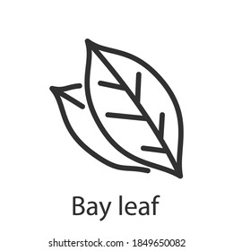 Hoja de la bahía de las especias, icono lineal. Trazo editable