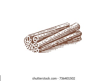 Spice. Cinnamon. Hand drawn engraving style illustrations.