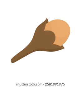 Spice cloves in cartoon style on a white background isolated. Minimalistic hand drawn carnation. Spices for cooking. Culinary spices with bright taste and aroma