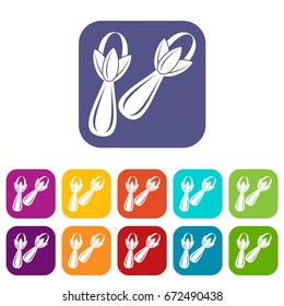 Spice cloves icons set vector illustration in flat style In colors red, blue, green and other