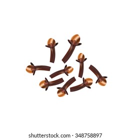 spice cloves, vector graphic