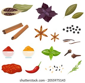 Spice for cooking delicious food collection. Herbs with good smell. Organic ingredient. Isolated vector illustration in cartoon style