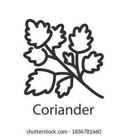 Spice Coriander, Linear Icon. Editable Stroke