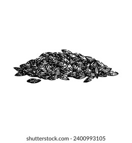 spice cumin hand drawn. ingredient food, herb aroma, seed cuisine spice cumin vector sketch. isolated black illustration