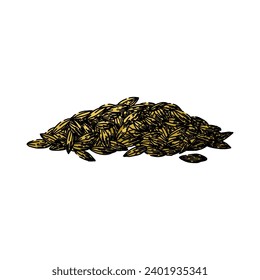 spice cumin hand drawn. ingredient food, herb aroma, seed cuisine spice cumin vector sketch. isolated color illustration