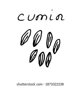 Gewürzcumin, Vektorgrafik, handgezeichnet