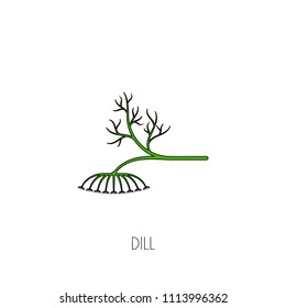 Spice dill. Hand drawn linear colored icon. Hot spices and condiments. 