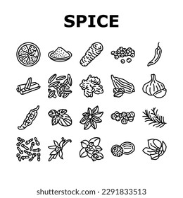 spice food herb leaf icons set vector. ginger vanilla, seasoning cinnamon, garlic salt, pepper kitchen mint, indian spice food herb leaf black contour illustrations