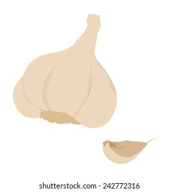 Spice garlic vector isolated, organic ingredient, garlic clove