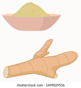 Spice ginger root and powder ginger isolated flat vector image on white background