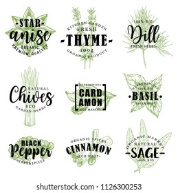 Spice and herb hand drawn lettering with fresh food condiment sketch. Pepper, star anise and cinnamon, cardamom, basil and dill, thyme, sage and chives for organic spice shop packaging label design