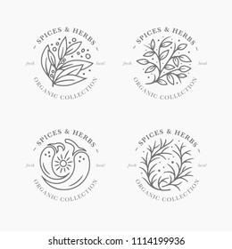 Spice and herb label collection. Black and white round sticker templates. Fresh local organic collection - logo in trendy linear style