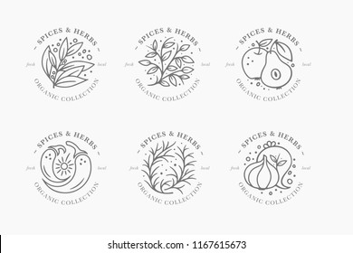 Spice and herb label collection. Black and white round badges templates. Fresh local organic collection - logo in trendy linear style