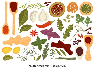 Spice herb set for cooking food vector illustration. Cartoon fresh organic spice plant menu in herbal collection with basil leaf rosemary mint parsley ginger garlic pepper dill isolated on white