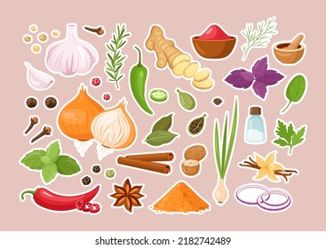 Spice and herb stickers. Vector set of kitchen herbs with vanilla, anise, ginger, cinnamon, curry, basil, garlic, bay leaves, pepper, rosemary. Popular indian spices for menu, pattern, background