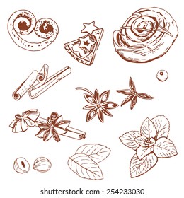 Spice, herbs and backing drawn lines vector illustration. Cinnamon, mint, hazelnut, cinnamon bun, bilberry. Bakery products isolated on white background.