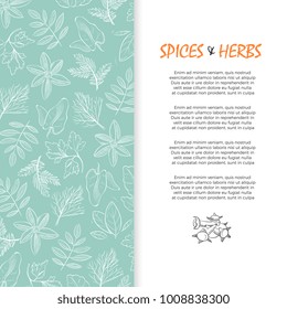 Spice and herbs banner - hand sketched culinary and medicine herbs background. Vector illustration