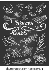 Spice and herbs collection.Hand drawn sketch icons.