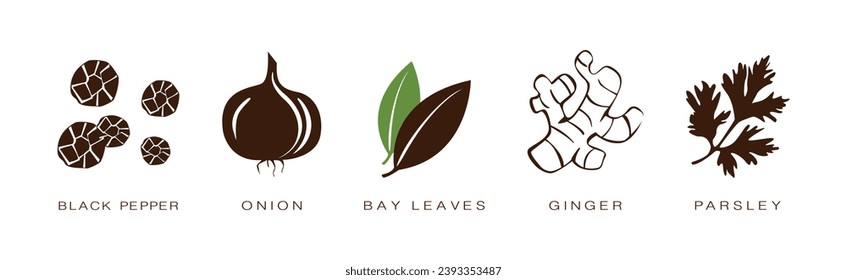 Spice and Herbs for Culinary and Cooking Vector Set