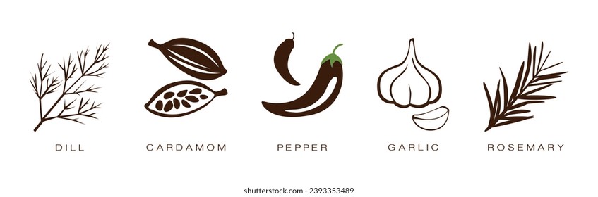 Spice and Herbs for Culinary and Cooking Vector Set