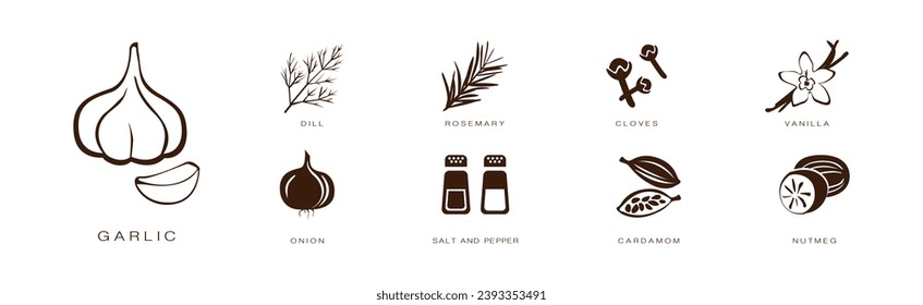 Spice and Herbs for Culinary and Cooking Vector Set