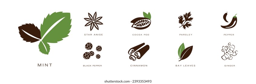 Spice and Herbs for Culinary and Cooking Vector Set