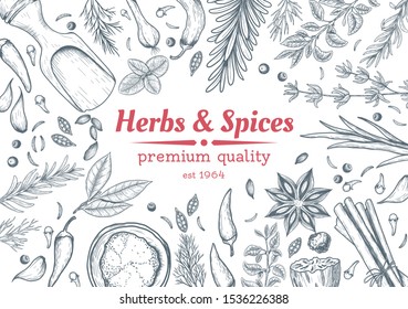 Spice And Herbs Top View Frame. Vintage Hand Drawn Sketch Vector Illustration. 