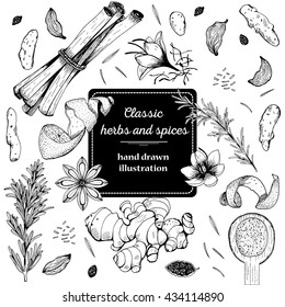 Spice and herbs top view frame. Spice and herbs design. Vintage hand drawn sketch vector illustration. White background. Vector Design template