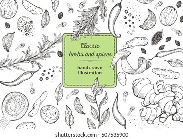 Spice And Herbs Top View Frame. Vintage Hand Drawn Sketch Vector Illustration. White Background. Vector Design Template.