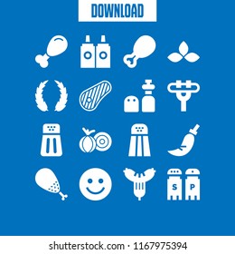 spice icon. 16 spice vector set. steak, onion, smiley and parsley icons for web and design about spice theme
