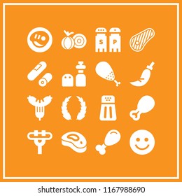 spice icon. 16 spice vector set. steak, chili pepper, laurel and salt and pepper icons for web and design about spice theme