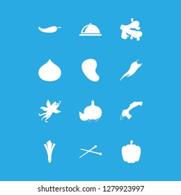 spice icon set about restoraunt, steak, onion and papper vector set