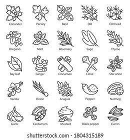 Spice icon set. Kitchen herbs, linear icons. Condiment. ginger, rosemary, sage, thyme, mint, onion, basil, arugula, nutmeg, mustard, vanilla etc, Line with editable stroke