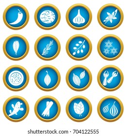 Spice icons blue circle set isolated on white for digital marketing