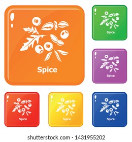 Spice icons set collection vector 6 color isolated on white background