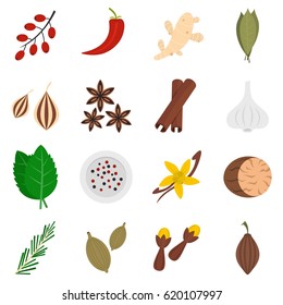 Spice icons set in flat style isolated vector illustration