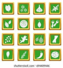 Spice icons set in green color isolated vector illustration for web and any design
