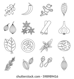 Spice icons set. Outline illustration of 16 spice vector icons for web