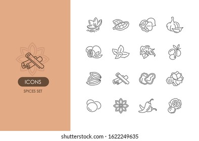 Spice icons set for web design, menu, app, poster, ads, postcard and magazine