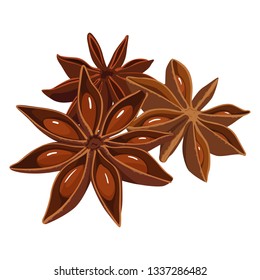 Spice illustration.Star anise used for Chinese medicine and cooking.