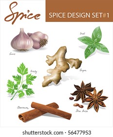 Spice images design set 1. Vector illustration.