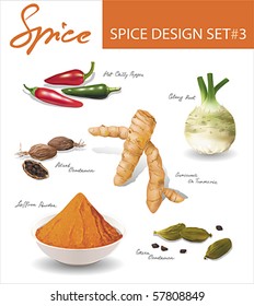 Spice images design set 3. Vector illustration.