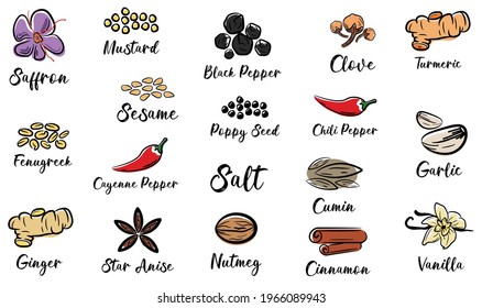 Spice jar labels set - allspice stickers. minimalist style illustration.Logo . Label. Icon. Vanilla, star anise, cloves, garlic, saffron, pepper, turmeric .various spices hand draw vector. Eps 10.