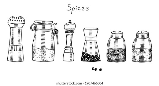 Spice jar set, vector illustration, hand drawing, sketch