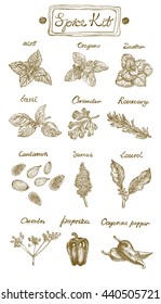 Spice Kit. Hand drawn vector illustration. Graphics style. Contains: mint,oregano, basil, coriander, rosemary, cardamon, sumac, laurel, cumin, paprika and cayenne paper.