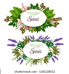 Spice label with culinary herb, vegetable seasoning and condiment. Rosemary, parsley and dill, nutmeg, garlic and lemongrass, sage, sorrel and marjoram, lavender flower and poppy seed. Vector ill